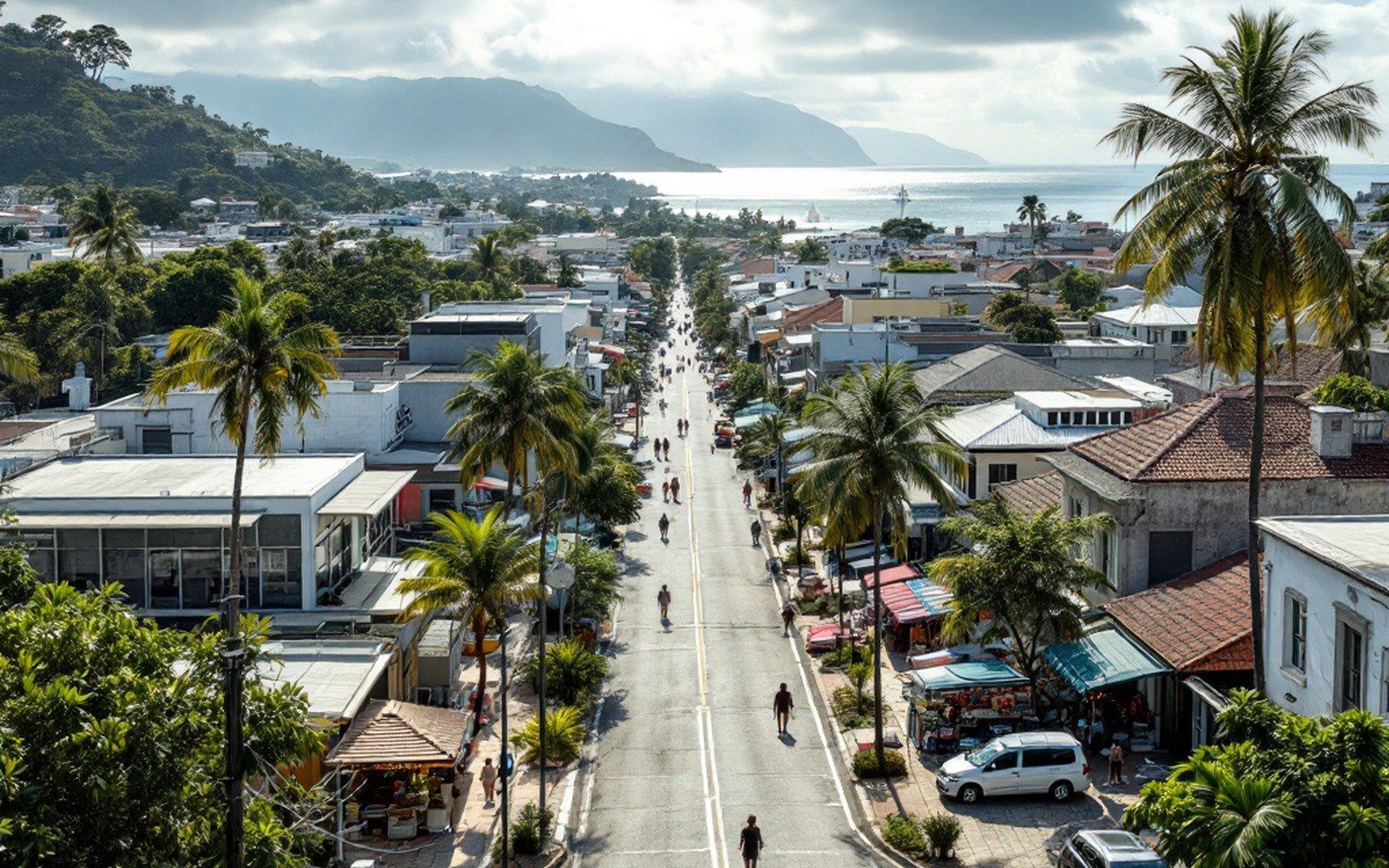 A straight palm-lined avenue running downhill between low buildings to the water